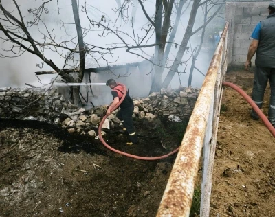 Domani&ccedil;&rsquo;te &ccedil;ıkan yangında 100 tavuk telef oldu