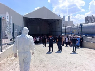 Domates serasında zehirlenme: &Ccedil;ok sayıda &ccedil;alışan hastaneye kaldırıldı