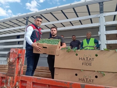 &lsquo;Domates Yetiştiriciliğinin Geliştirilmesi&rsquo; projesi s&uuml;r&uuml;yor
