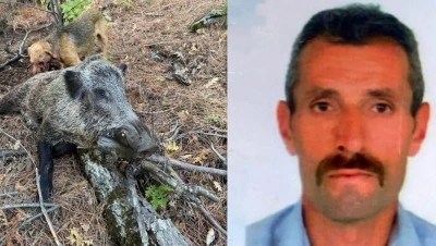 Domuz saldırısı can aldı