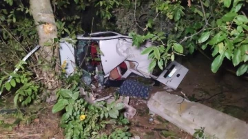 Orhangazi'de domuzlara &ccedil;arpan ara&ccedil; takla attı, 2 kişi yaşamını yitirdi