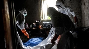 DS&Ouml;'den 5 Afrika &uuml;lkesi i&ccedil;in şarbon salgını uyarısı