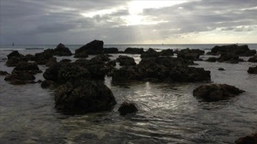 D&uuml;nya Meteoroloji &Ouml;rg&uuml;t&uuml;: G&uuml;ney-Batı Pasifik'te iklim değişikliğinin etkileri artıyor