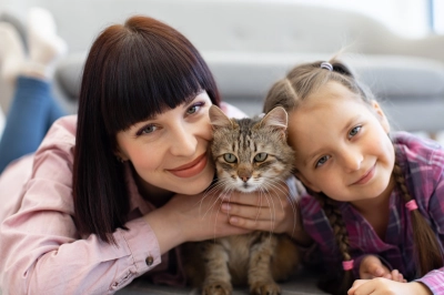 D&uuml;nyada 600 Milyondan Fazla, T&uuml;rkiye&rsquo;de ise Yaklaşık 10 Milyon Kedi İnsanlarla Birlikte Yaşıyor