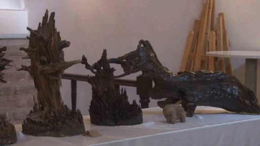 D&uuml;nyada b&ouml;yle sergi g&ouml;r&uuml;lmedi