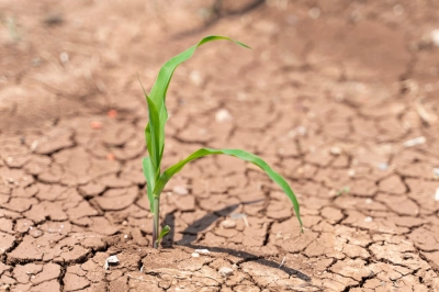 D&uuml;nyadaki Kurak Alanlar T&uuml;rkiye&rsquo;nin 7,5 Katı Kadar Genişleyecek