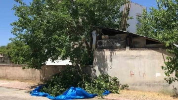 Dut silkelerken ağa&ccedil;tan d&uuml;şen adam hayatını kaybetti
