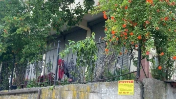 Dut toplamak i&ccedil;in &ccedil;ıktığı ağa&ccedil;tan d&uuml;şerek demir korkuluklara saplandı
