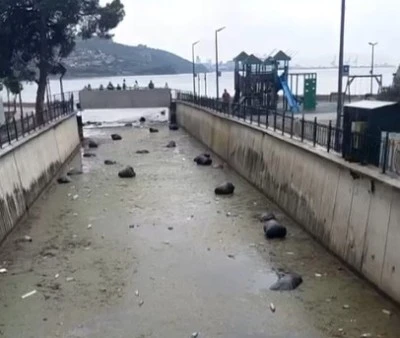 Duyarsızlık Gemlik K&ouml;rfezi'ni &ccedil;&ouml;pl&uuml;ğe &ccedil;evirdi