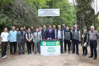 D&uuml;zce 80 bin adet b&ouml;cek salınacak
