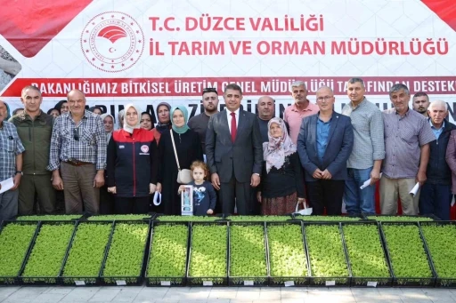 D&uuml;zce&rsquo;de &ccedil;ift&ccedil;ilere 250 bin marul fidesi dağıtıldı
