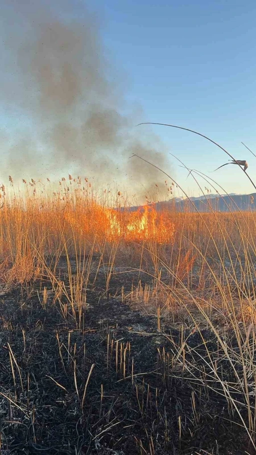 Eber G&ouml;l&uuml;&rsquo;n&uuml; yakmaya &ccedil;alışırken jandarmaya yakalandı
