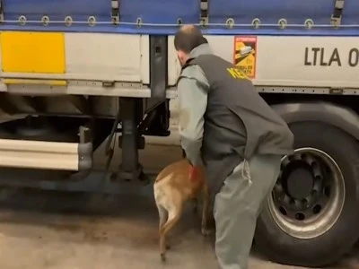 Edirne'de 240 kilo skunk ele ge&ccedil;irildi