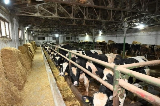 Edirne&rsquo;de ari damızlık hayvan &uuml;retim merkezi yapılacak
