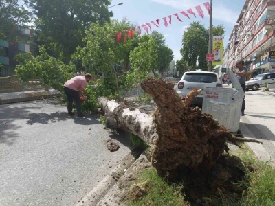 Edirne&rsquo;de devrilen ağa&ccedil; yolu trafiğe kapattı
