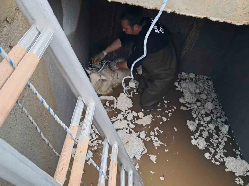 Edremit G&uuml;re Mahallesi&rsquo;nde mahsur kalan koyun kurtarıldı
