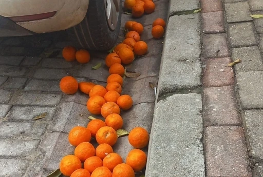 Efeler&rsquo;in simgesi turun&ccedil;lar &ccedil;&uuml;r&uuml;meye terk edildi
