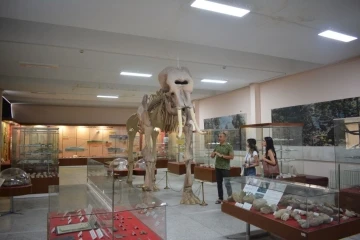 Ege&rsquo;nin bilim vitrini: Tabiat Tarihi Koleksiyonu
