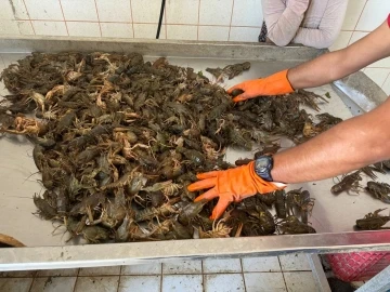 Eğirdir G&ouml;l&uuml;&rsquo;nde 8 aydır s&uuml;ren av yasağı kalktı, kerevit bereketi yaşandı
