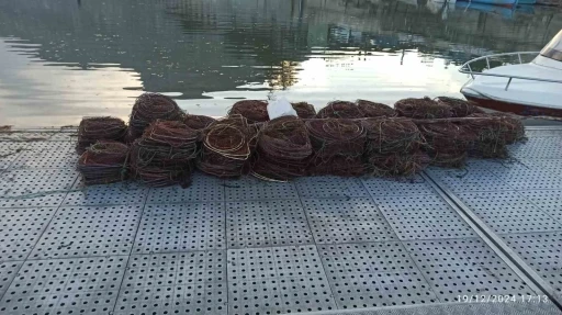 Eğirdir G&ouml;l&uuml;&rsquo;nde yasak avcılara b&uuml;y&uuml;k darbe 200 kilo Kerevit kurtarıldı
