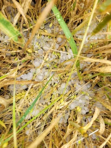 Ekili araziler saniyeler i&ccedil;inde beyaza b&uuml;r&uuml;nd&uuml;
