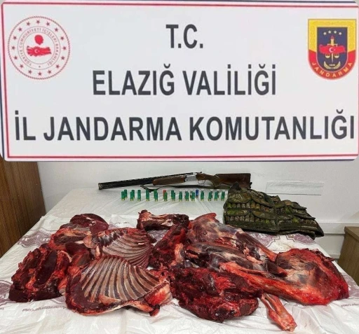 Elazığ&rsquo;da dağ ke&ccedil;isini avlayan şahsa 650 bin lira ceza kesildi
