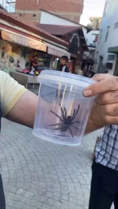 Elazığ&rsquo;da dev et&ccedil;il &ouml;r&uuml;mcek paniği
