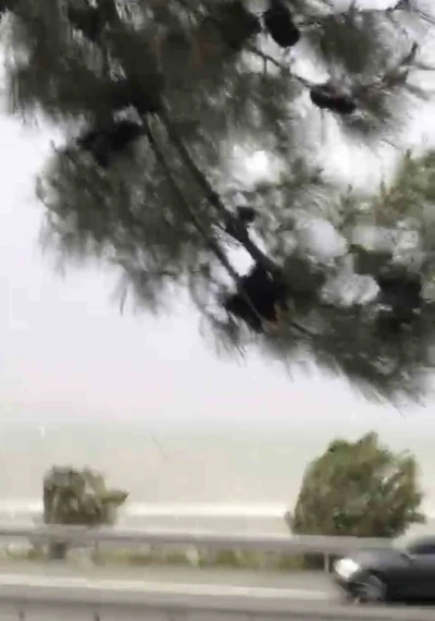 Elazığ&rsquo;da fırtına etkili oldu
