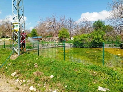 Elazığ&rsquo;da larva ila&ccedil;lama &ccedil;alışmaları s&uuml;r&uuml;yor
