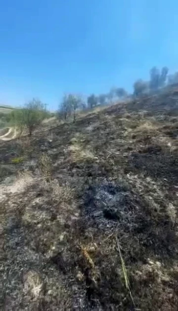 Elazığ&rsquo;da otluk alanda korkutan yangın
