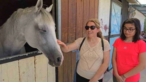 Elazığ&rsquo;da &ouml;zel ve engelli bireyler &lsquo;At&rsquo; ile terapi g&ouml;r&uuml;yor
