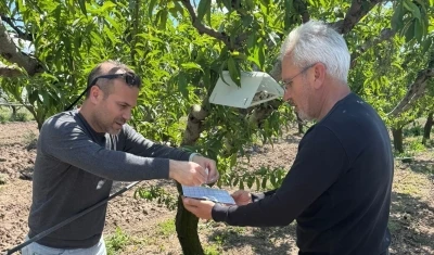 Elazığ&rsquo;da şeftali g&uuml;vesine karşı feromon tuzak
