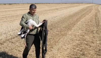 Elektrik akımına kapılan eşinin başından 5 g&uuml;n ayrılmadı