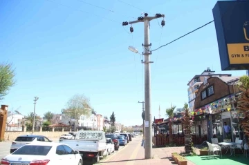 Elektrik teline konan papağanı kurtarmak isteyen gen&ccedil;ten acı haber
