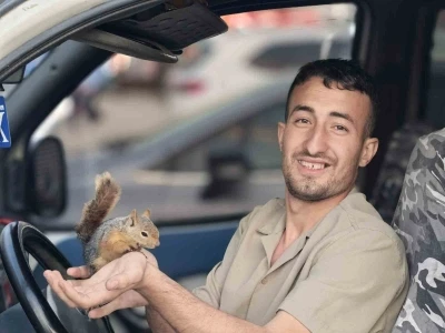 Eliyle beslediği sincap, peşini bırakmadı