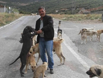 Emekli olunca kendisini sokak k&ouml;peklerine adadı
