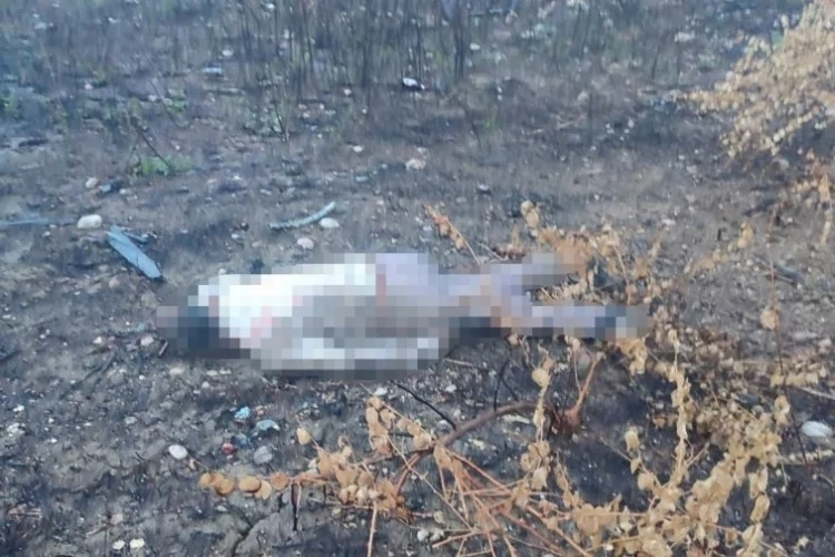 Emniyet g&uuml;&ccedil;leri de şaşırdı...