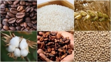 Emtia piyasasında ge&ccedil;en hafta sert dalgalanmalar &ouml;ne &ccedil;ıktı