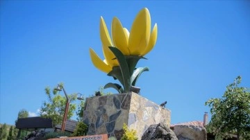 "Endemik Vadi"de ata tohumu &ccedil;eşidi artıyor