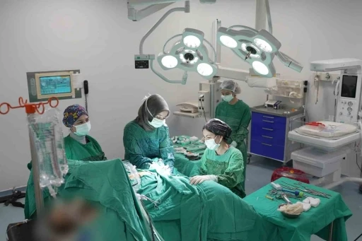 Endometrium kanserinde yenilik&ccedil;i y&ouml;ntem
