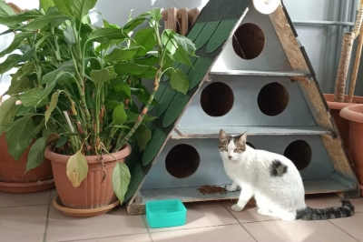 Enerjisa &Uuml;retim&rsquo;den Evcil Dostlar i&ccedil;in G&uuml;vence ve Destek