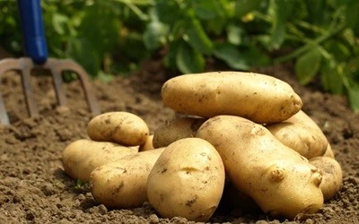 Enflasyon rakamlarının a&ccedil;ıklanmasıyla en fazla ucuzlayan patates oldu