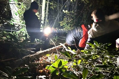 Engebeli arazide d&uuml;şerek yaralanan orman iş&ccedil;isini ekipler kurtardı