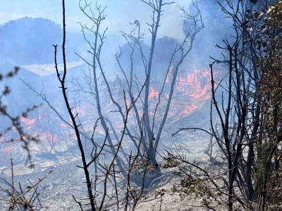 Erdek&rsquo;te &ccedil;ıkan orman yangını kontrol altına alındı