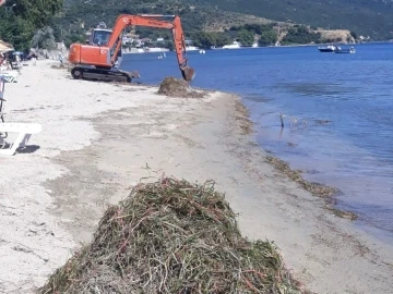 Erdek&rsquo;te deniz &ccedil;ayırı katliamı
