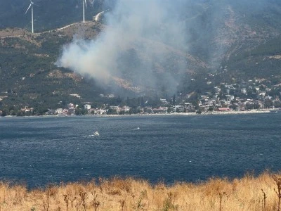 Erdek'te orman yangını