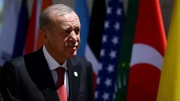 Erdoğan'dan Merih Demiral&rsquo;ın yaptığı bozkurt işaretiyle ilgili a&ccedil;ıklama