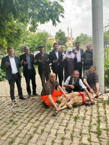 Erdoğan kazanınca 83 yaşındaki nine ko&ccedil; kestirdi
