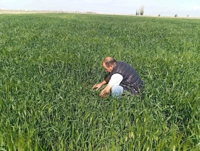 Ereğli&rsquo;de s&uuml;ne kımıl s&uuml;rvey &ccedil;alışmaları başladı
