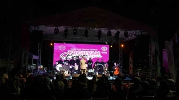 Erguvan Bayramı&rsquo;na yoğun ilgi
